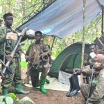 DR Congo Military Rescues Over 200 Hostages from IS-Linked Militant Group