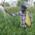 Middle East Conflict Threatens Asia’s Economic Growth, ADB Warns of Significant Slowdown