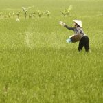 Beijing’s Quiet Hand: Border Inspections Signal Global Food Supply Shift