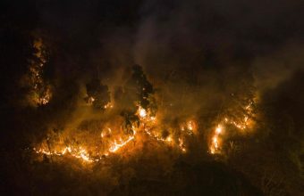 Thailand & Mekong Region Grapple with Severe Forest Fires, Air Pollution Crisis