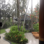 Bali Monsoon Survival Guide: Navigating Tropical Rains for an Unforgettable Vacation