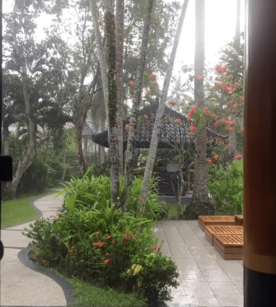 Germany’s Far-Right AfD Extends Significant Lead Over Conservative Opposition in New Poll