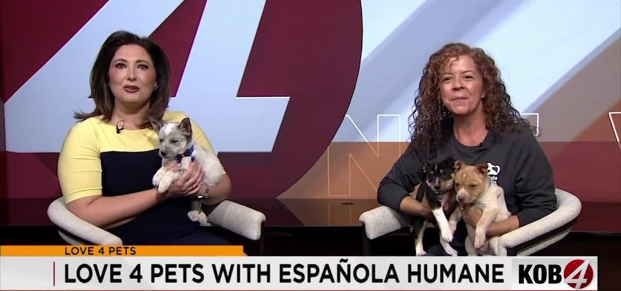 Fading Echoes: Country Legends’ Names Now Symbolize New Mexico’s Animal Welfare Crisis