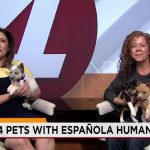 Fading Echoes: Country Legends’ Names Now Symbolize New Mexico’s Animal Welfare Crisis