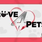 Albuquerque Animal Welfare: Meet Woody, Zwei, and Kenai, Dogs Ready for Adoption