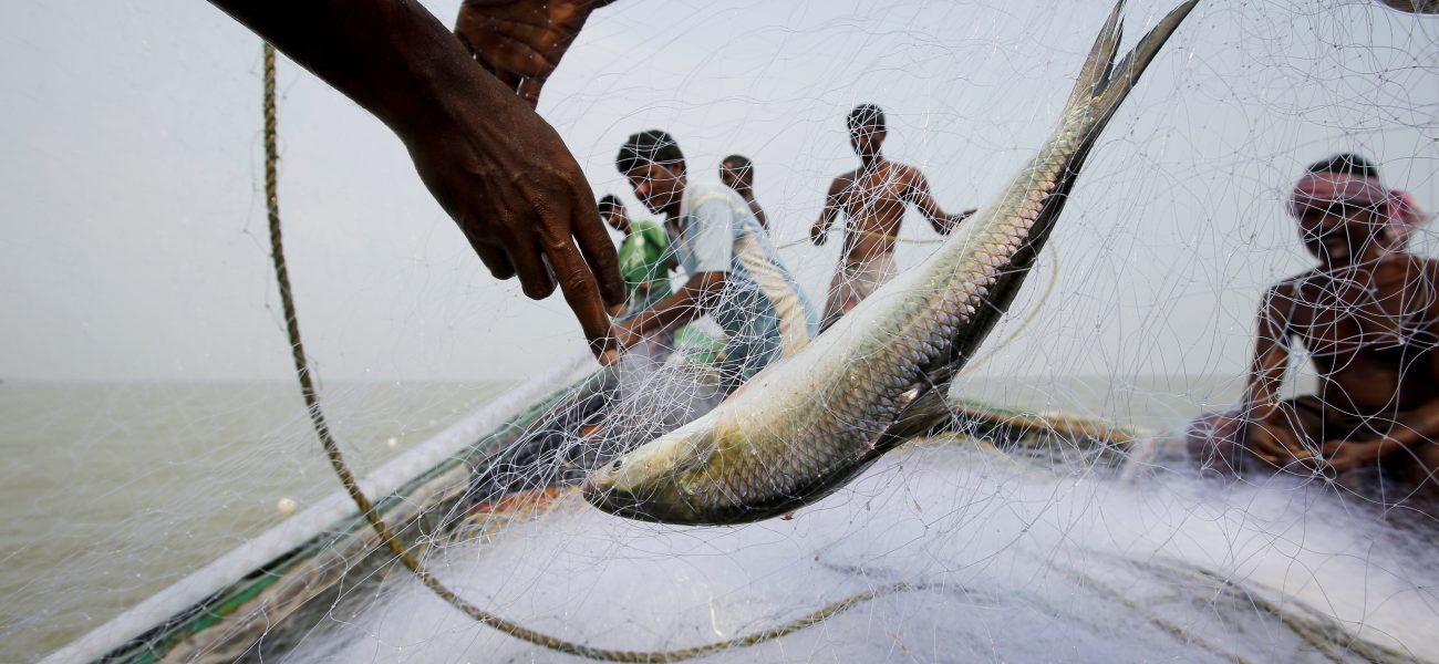 Fish Factor: How Seafood Culture Influences West Bengal Elections and Voter Sentiment