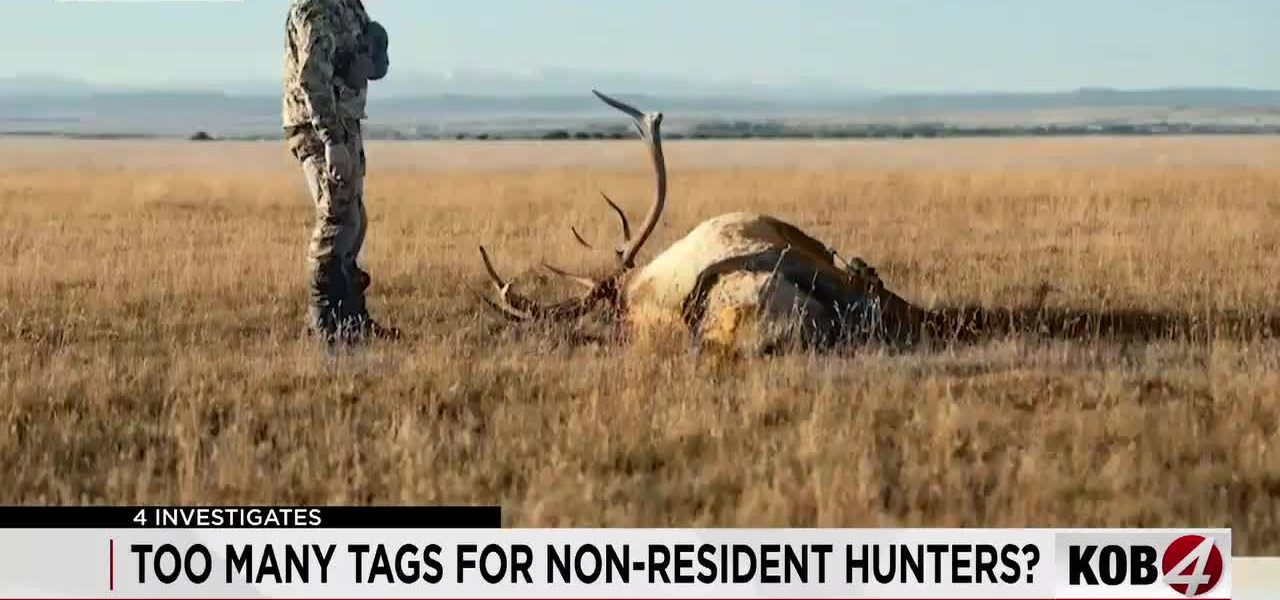 New Mexico’s Big Game Draw System Under Fire: Reforms Loom Amidst Hunter Access Debate