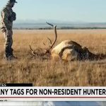 New Mexico’s Big Game Draw System Under Fire: Reforms Loom Amidst Hunter Access Debate
