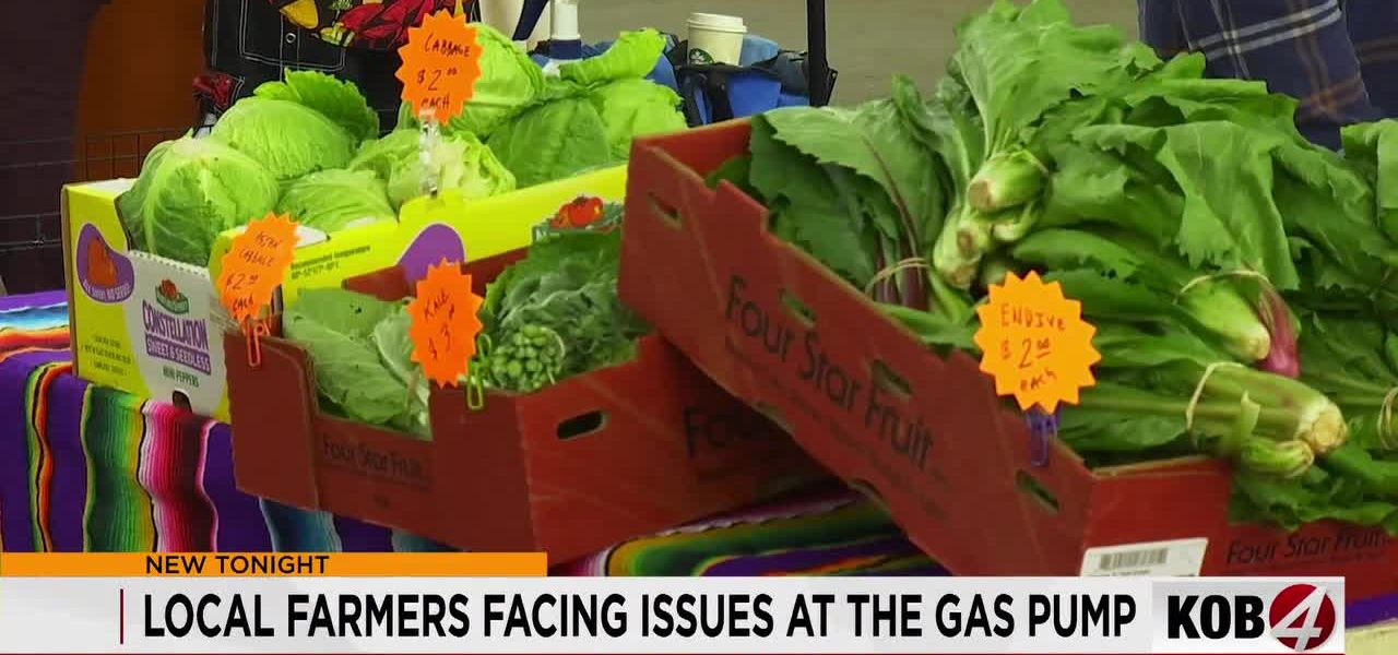 New Mexico’s Green Oasis Withers: Local Farmers Caught in a Pincer Movement of Drought and Soaring Energy Costs
