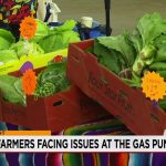 New Mexico’s Green Oasis Withers: Local Farmers Caught in a Pincer Movement of Drought and Soaring Energy Costs