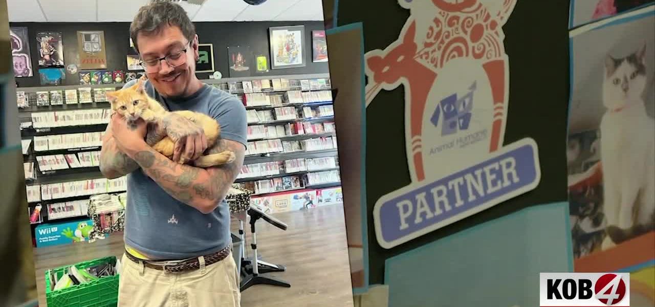Fuzzy Capitalism: How Albuquerque’s Retro Game Store Is Reshaping Community Care, One Feline at a Time