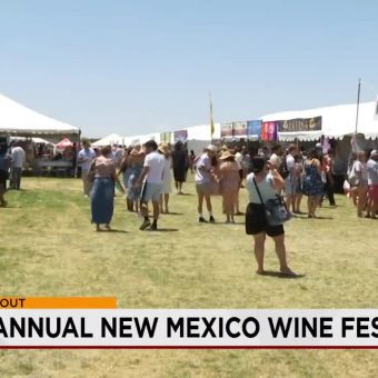 Desert Harvest: New Mexico’s Wine Boom Signals Quiet Agricultural Revolution Amidst Global Shifts
