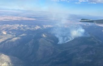 Silent Ember, Sprawling Threat: New Mexico Wildfire Mirrors Global Strain