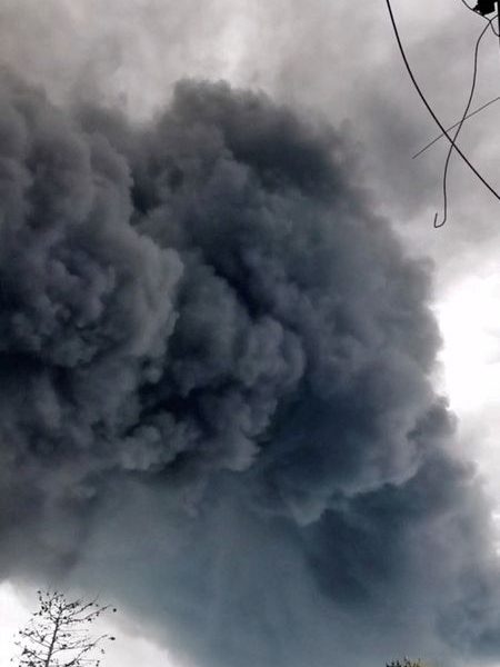 Black Sea’s Shadow: Ukraine’s Persistent Strikes Deepen Environmental Scars, Global Economic Jitters