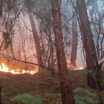 Tuscany’s Scorched Earth: A Sobering Postcard from Europe’s Climate Frontline