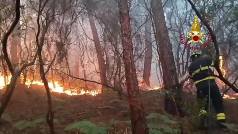Tuscany’s Scorched Earth: A Sobering Postcard from Europe’s Climate Frontline