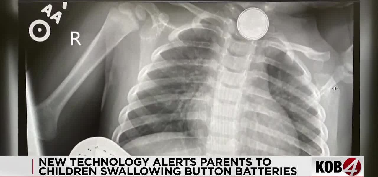 Silent Threat, Lasting Law: Texas Mother’s War on Tiny Terrorists