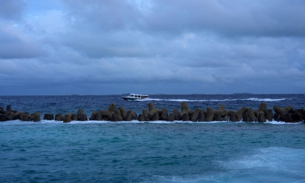 Coral Kingdom’s Dark Depths: The Deadly Price of Extreme Tourism in Paradise