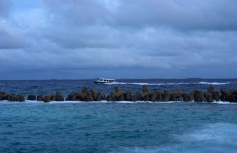 Coral Kingdom’s Dark Depths: The Deadly Price of Extreme Tourism in Paradise