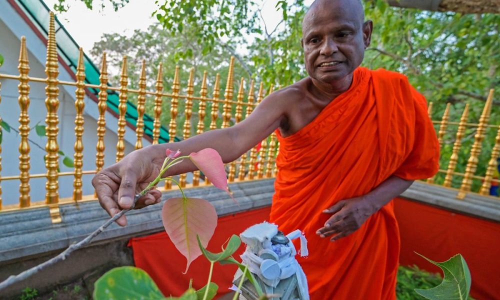 Sanctuary Breached: Monk’s Arrest Rattles Sri Lanka’s Religious Core