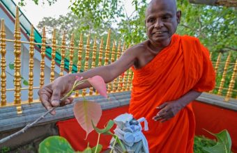 Sanctuary Breached: Monk’s Arrest Rattles Sri Lanka’s Religious Core