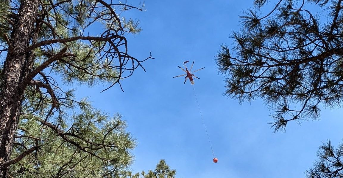 New Mexico’s Inferno: A Tragic Spark Unveils a Deeper Ecological Crisis