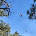 New Mexico’s Inferno: A Tragic Spark Unveils a Deeper Ecological Crisis