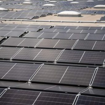 Berlin’s Green Gambit Stalls: Solar Ambitions Grapple with Earthbound Realities