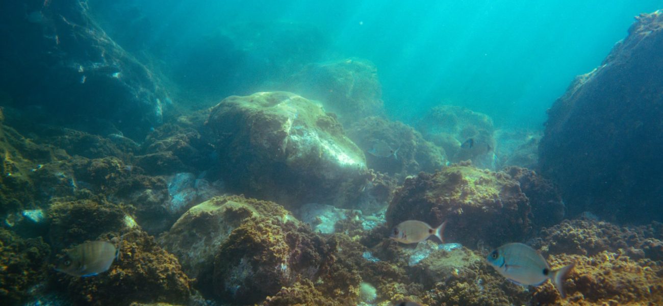 Arctic’s Hidden Depths Yield New Secrets, Ignite Old Anxieties