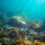 Arctic’s Hidden Depths Yield New Secrets, Ignite Old Anxieties