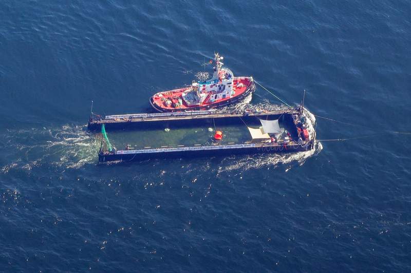 Germany’s Whale of a Tale: A Geopolitical Lifeline Navigates the North Sea