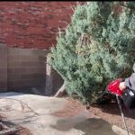 The Power Wash and the Poverty of Ownership: America’s Libraries Reimagine Resource Access