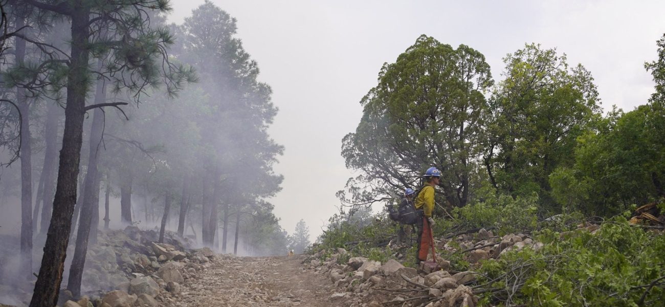 Wildfire’s Relentless March Forces Retreat in New Mexico: Containment Figures Falter
