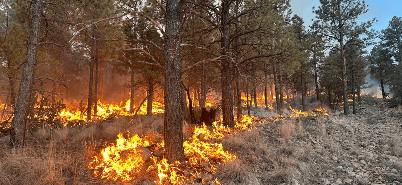 Inferno’s Shadow: New Mexico Fire, Born of Tragedy, Exposes Broader Climate Cracks