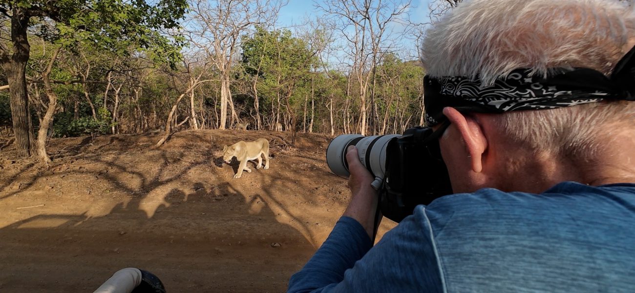 Endgame in Gir: Lensman’s Grueling Pursuit of India’s Fading Monarchs