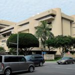 Aloha Gone Awry: Viral Violence Unmasks Paradise’s Delicate Balance