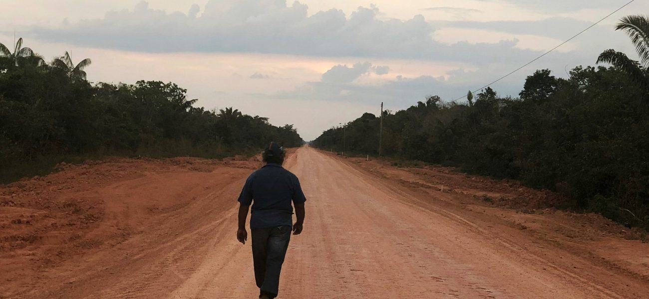 Road to Ruin or Riches? Brazil Carves a Highway Through the Amazon’s Green Heart