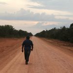Road to Ruin or Riches? Brazil Carves a Highway Through the Amazon’s Green Heart