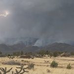 Inferno’s Slowing Breath: New Mexico’s Forest Closure and the Ghost of Scarcity