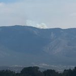 Ash and Irony: A Medical Flight’s Tragic End Rekindles the Wild