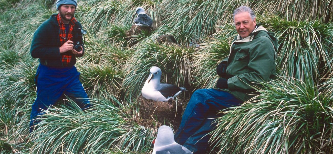 Attenborough’s Quiet War: Beyond the Lens, a Planet’s Fate Hangs
