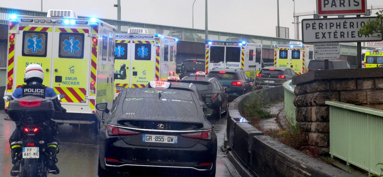 Rats, Ships, and a Global Scare: French Hantavirus Case Rattles Health Authorities