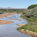 Supreme Court’s Thirsty Decree: Rio Grande Ruling Uncorks More Than Water Worries