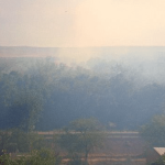 Rio Grande’s Embrace Under Threat: Albuquerque’s Bosque Fire Rekindles Old Debates on Climate, Commerce, and Control