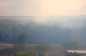 Rio Grande’s Embrace Under Threat: Albuquerque’s Bosque Fire Rekindles Old Debates on Climate, Commerce, and Control
