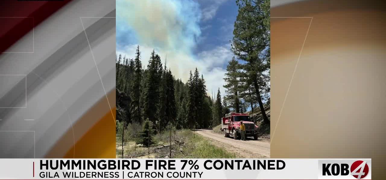 Gila’s Fiery Grip: Hummingbird Blaze Ignites Policy Questions in New Mexico’s Wild Heart