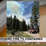 Gila’s Fiery Grip: Hummingbird Blaze Ignites Policy Questions in New Mexico’s Wild Heart