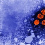 Silent Epidemic Under Siege: Novel Drug Challenges Hepatitis B’s Decades-Long Grip