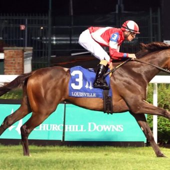The Elusive Monarch: Horse Racing’s Fragmented Crown Sparks Industry Unease