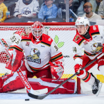Ice Cold Reality: Red Wings Prospect Cossa Watches from the Bench as Performance Trumps Pedigree